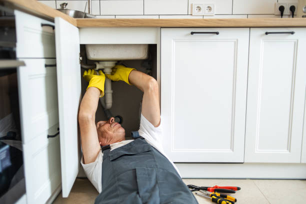 Best Plumbing Inspection Services  in Nellis Af, NV